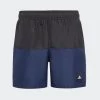 Adidas Performance Zwemshort Colourblocking -Sport uitgebreid online adidas performance zwemshort colourblocking 2