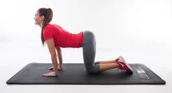 Christopeit Sport® Fitness-mat 185 Cm X 81 Cm, Zwart -Sport uitgebreid online christopeit sport fitness mat 185 cm x 81 cm zwart zwart 10