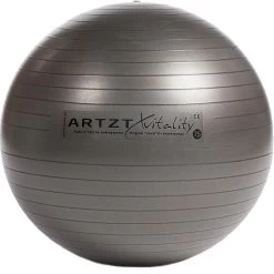 Fitness-Ball Professional